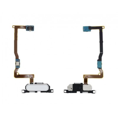 Home Button Complete For Samsung Galaxy Alpha S801 White By - Maxbhi Com