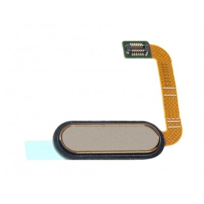 Home Button Complete For Htc One M9 Plus Prime Camera Edition Gold By - Maxbhi Com