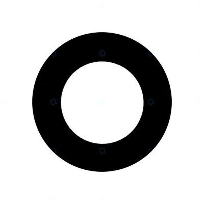 Camera Lens For Vivo Y55 Grey By - Maxbhi Com