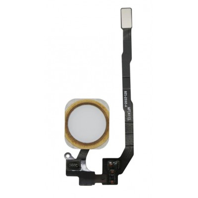Home Button Complete For Apple Iphone 5s Gold By - Maxbhi Com