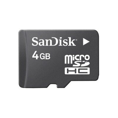 Sandisk 4 GB Micro Memory Card