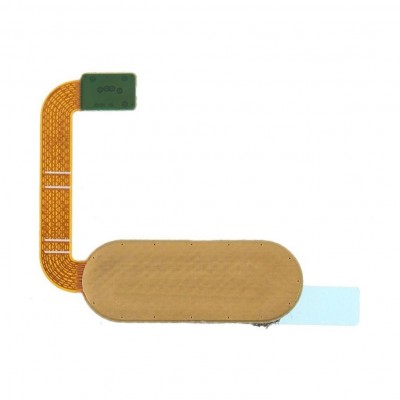 Fingerprint Sensor Flex Cable For Htc One M9 Plus Prime Camera Edition Gold By - Maxbhi Com