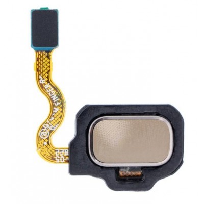 Fingerprint Sensor Flex Cable For Samsung Galaxy S8 Gold By - Maxbhi Com