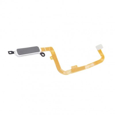 Fingerprint Sensor Flex Cable For Doogee V20 Grey By - Maxbhi Com