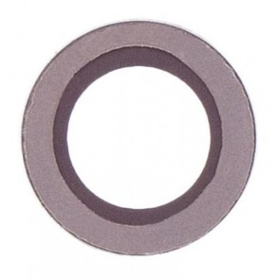 Camera Lens For Apple Ipad Air 2 Wifi Cellular 32gb Grey By - Maxbhi Com