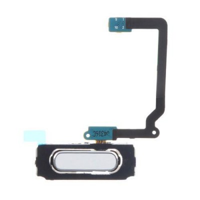 Fingerprint Sensor Flex Cable For Samsung Galaxy S5 Mini Duos G800h White By - Maxbhi Com