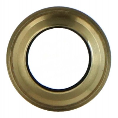 Camera Lens Glass With Frame For Apple Iphone 6s Plus Gold By - Maxbhi Com