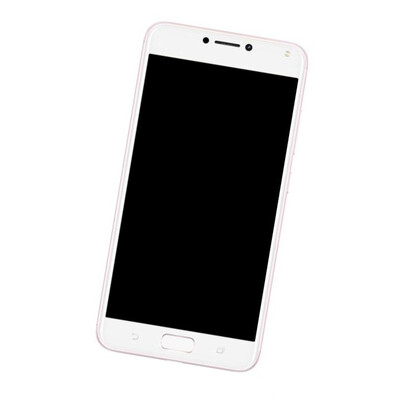 Camera Lens Glass with Frame for Asus ZenFone 4 Max Pro Pink