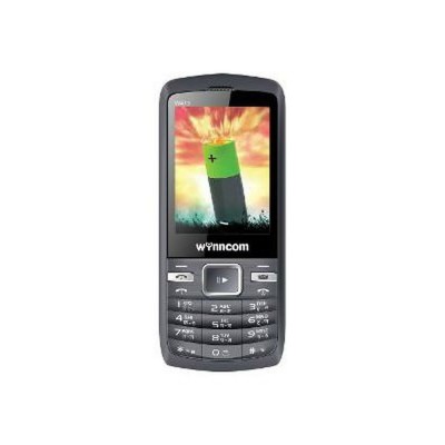 LCD Screen for Wynncom W415
