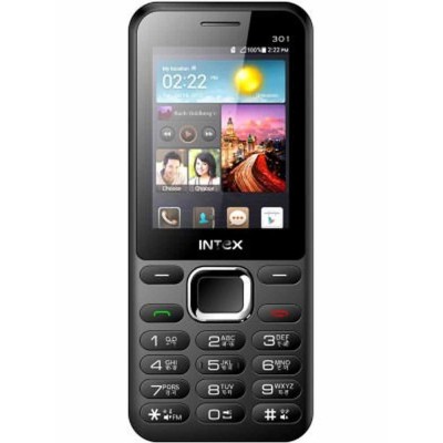 LCD Screen for Intex Fame 301