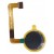 Fingerprint Sensor Flex Cable For Umidigi A9 Pro White By - Maxbhi Com