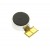 Vibrator For Prestigio Multipad Color 8 0 3g - Maxbhi Com