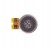 Vibrator for Gamma P100