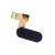 Home Button Flex Cable Only For Ulefone Mix By - Maxbhi Com
