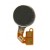 Vibrator For Ngm Forward Endurance By - Maxbhi Com