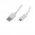 Data Cable For Samsung C170 - Maxbhi Com