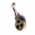 Vibrator For Samsung Galaxy Music S6010 - Maxbhi Com