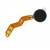 Vibrator For Samsung Galaxy W I8150 - Maxbhi Com