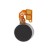 Vibrator For Blackberry Torch 9800 - Maxbhi Com