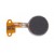 Vibrator For Samsung Galaxy Fit S5670 - Maxbhi Com