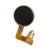 Vibrator For Spice M5885 Cappuccino 2 - Maxbhi Com