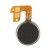 Vibrator For Lenovo A3800 By - Maxbhi Com