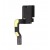 Camera For Apple Ipad 3 Wifi - Maxbhi Com