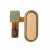 Home Button Complete For Xiaomi Redmi Pro Gold By - Maxbhi Com