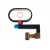 Home Button Complete For Nubia M2 Lite White By - Maxbhi Com