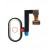 Home Button Complete For Nubia M2 Lite White By - Maxbhi Com