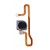 Fingerprint Sensor Flex Cable For Huawei Honor 7s By - Maxbhi Com