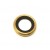 Camera Lens For Apple Iphone 6 Gold By - Maxbhi Com
