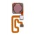 Fingerprint Sensor Flex Cable For Xiaomi Redmi 6 Rose Gold By - Maxbhi Com