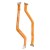Main Board Flex Cable For Oppo Reno By - Maxbhi Com