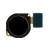 Fingerprint Sensor Flex Cable For Huawei Y7 Prime 2019 Black By - Maxbhi Com