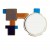 Fingerprint Sensor Flex Cable For Lg Nexus 5x White By - Maxbhi Com