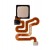 Fingerprint Sensor Flex Cable For Huawei P9 Lite Gold By - Maxbhi Com
