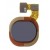 Fingerprint Sensor Flex Cable For Tecno Camon 12 Air Gold By - Maxbhi Com