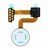 Fingerprint Sensor Flex Cable For Lg V35 Thinq Blue By - Maxbhi Com