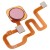 Fingerprint Sensor Flex Cable For Xiaomi Redmi Note 6 Pro Rose Gold By - Maxbhi Com