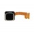 Home Button Flex Cable Only For Blackberry 9720 By - Maxbhi Com