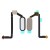 Fingerprint Sensor Flex Cable For Htc 10 Evo Gold By - Maxbhi Com
