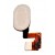 Fingerprint Sensor Flex Cable For Meizu M3 Note L681h Gold By - Maxbhi Com