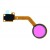 Fingerprint Sensor Flex Cable For Lg X4 Plus Violet By - Maxbhi Com