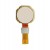 Fingerprint Sensor Flex Cable For Alcatel 3 White By - Maxbhi Com