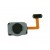 Fingerprint Sensor Flex Cable For Lg Q8 2018 Black By - Maxbhi Com