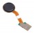 Fingerprint Sensor Flex Cable For Lg K11 Plus Blue By - Maxbhi Com