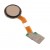 Fingerprint Sensor Flex Cable For Lg K11 Plus White By - Maxbhi Com