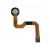 Fingerprint Sensor Flex Cable For Meizu 15 Black By - Maxbhi Com