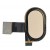 Fingerprint Sensor Flex Cable For Motorola Moto E4 Usa Gold By - Maxbhi Com